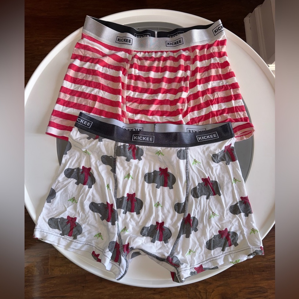 Kickee Pants Punk Stripe & White Hippo Boxer Briefs